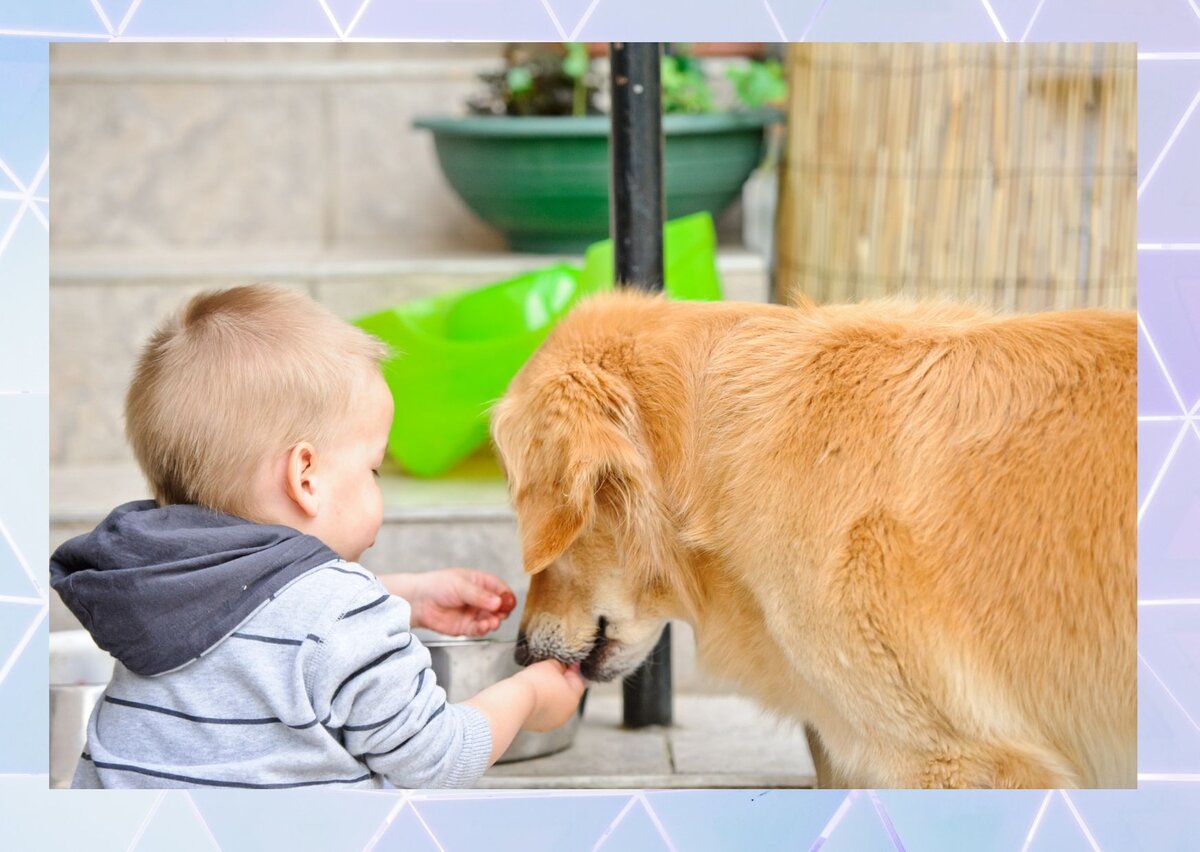 Кирилл и Верная неплохо ладили. Только Марина замечала негативные моменты, а их дружбу нет (фото by Canva)
