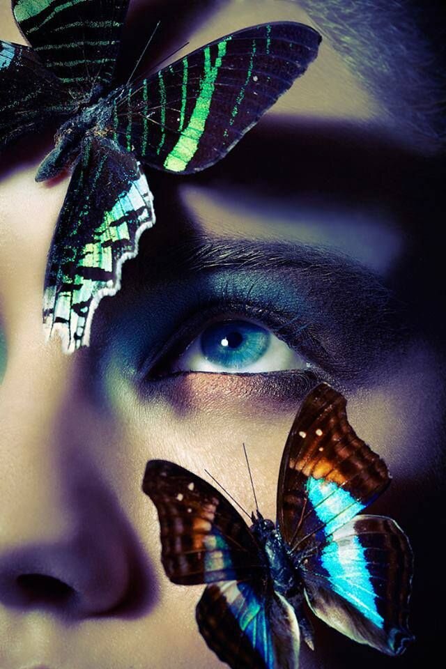 Яндекс картинки. 