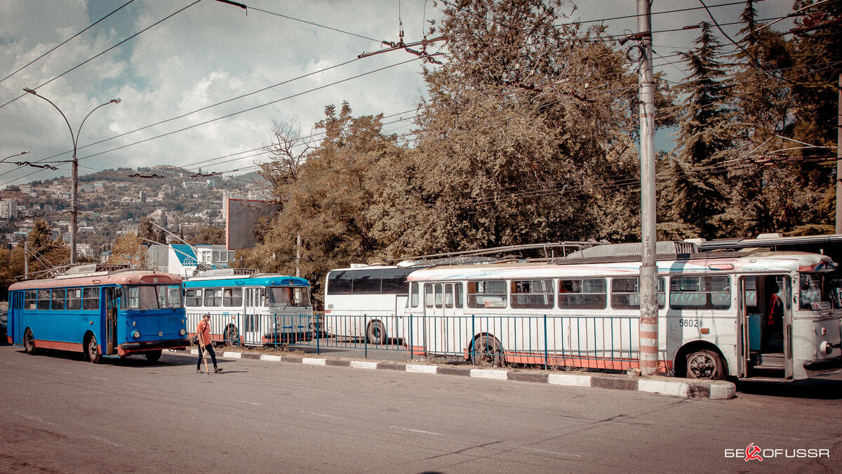 Фото 2016 года. Ялта.