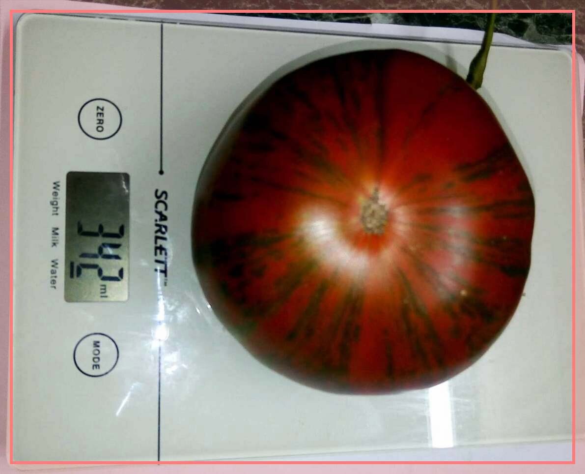 Томат Полосатый шоколад. Сорт. Отличный вкус.