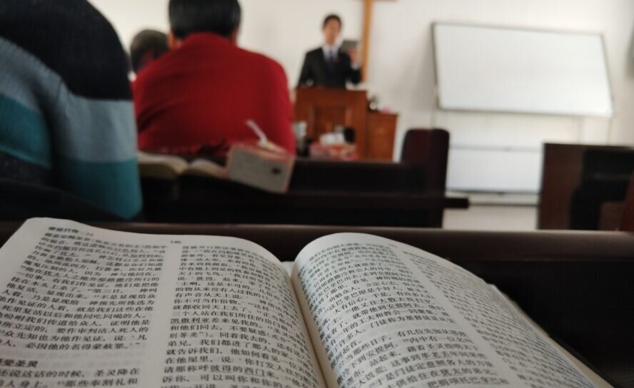 дзен общество