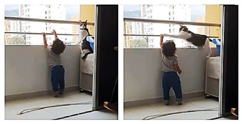 Стопкадры частной видеозаписи (найдено в Интернете)