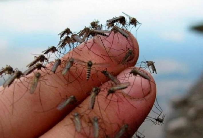 источник: ria-m.tv