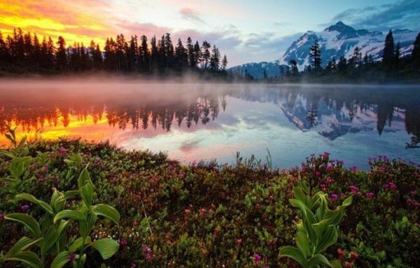 Прекрасный мир, но они живут здесь ни с кем не имея контакта