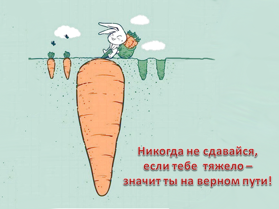 Лучше всегда чем никогда. Мотивация юмор. Прикольные мотиваторы для работы. Позитивные высказывания. Веселые высказывания в картинках.
