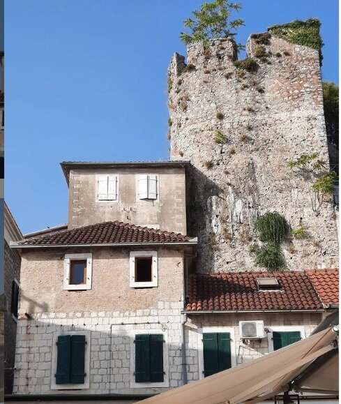 фото из личного архива. Герцен-Нови. Фото для красоты