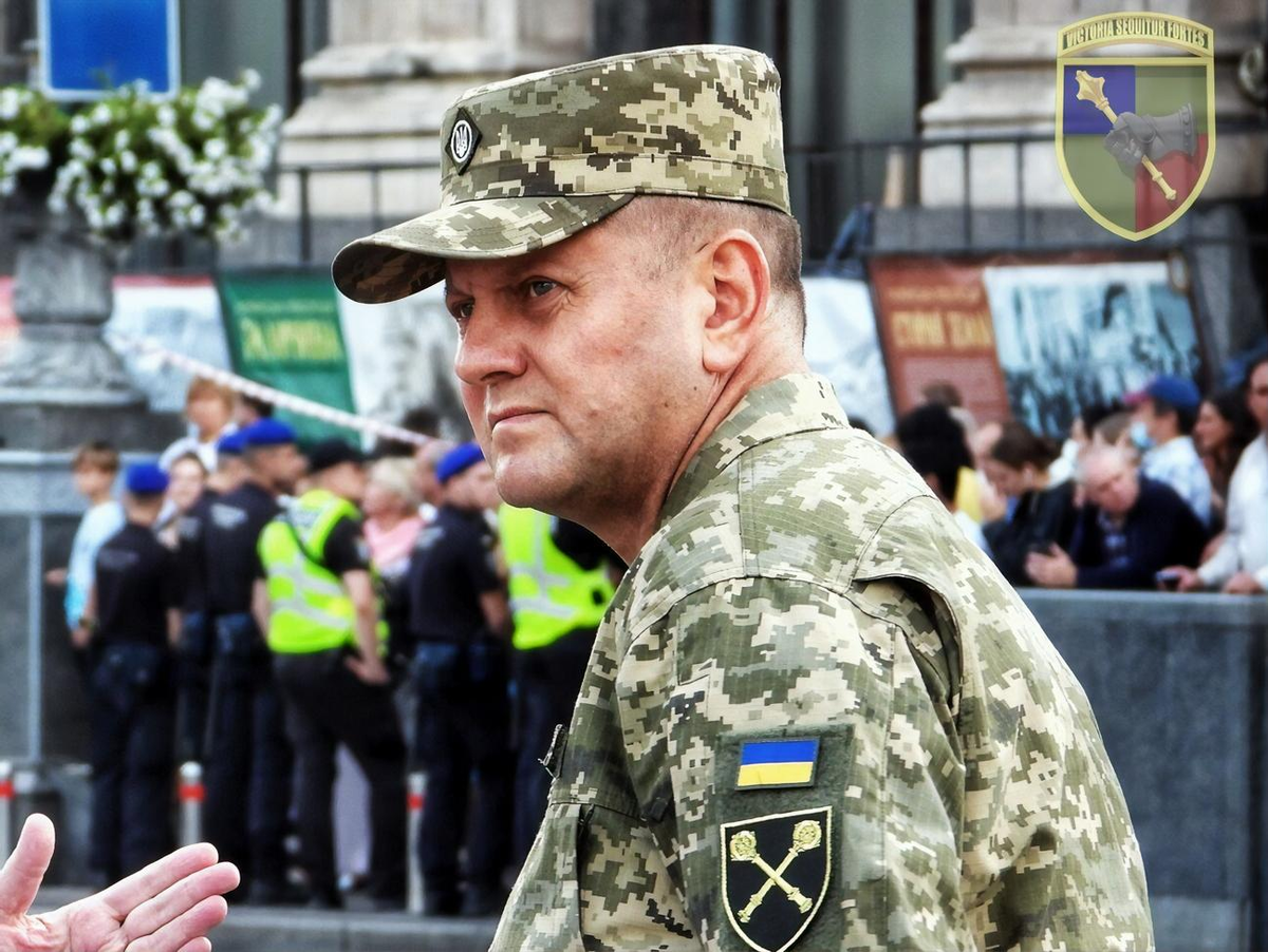 Новый украинский мечтатель - глава ВСУ Валерий Залужный. Фото из интернета.