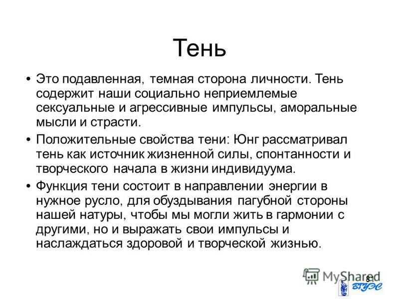 Понятие теневого проекта предполагает под собой