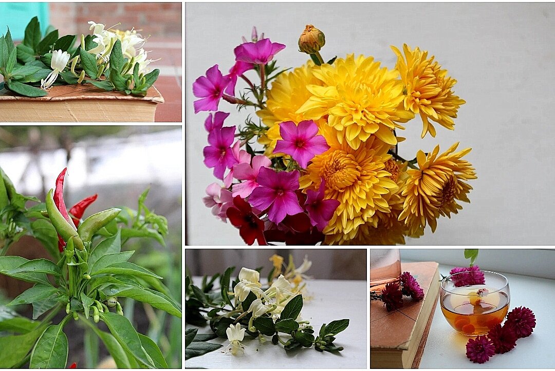 Фото автора. Скрин с Облака