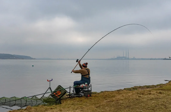 Добавьте описание