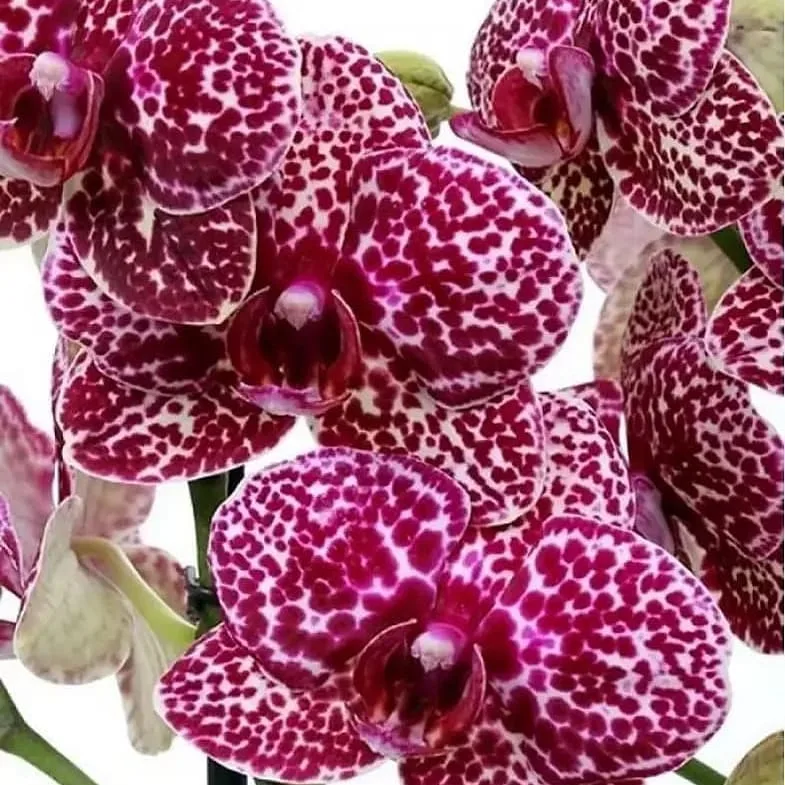 Фото: Яндекс.Картинки