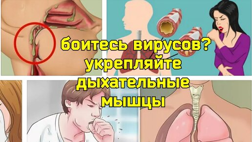 Как очистить легкие от вирусов и лишней слизи? Три дыхательных упражнения