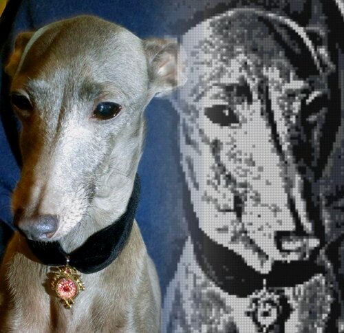 Фото и коллаж автора