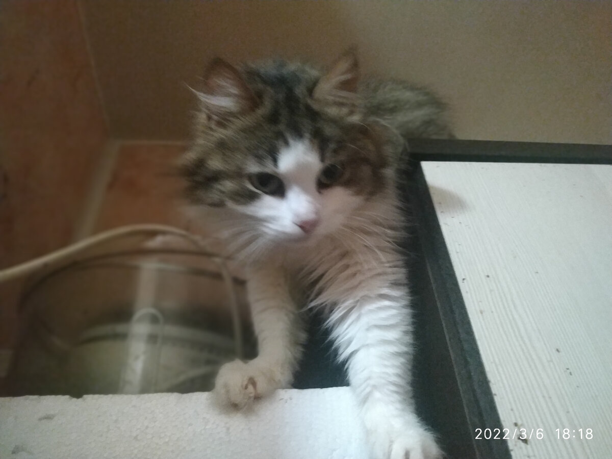 Людочка в своем поместье.