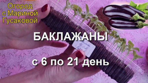 Баклажаны - Релевантные порно видео (5733 видео), стр. 8