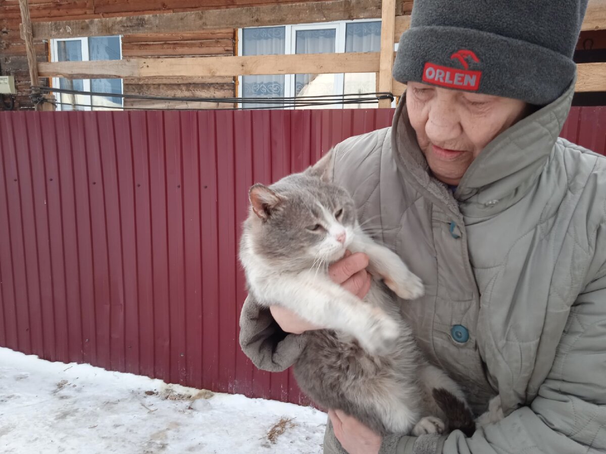 Прощай, мой ласковый и нежный зверь. А лучше- до свидания | Джим ЧУСОВОЙ |  Дзен