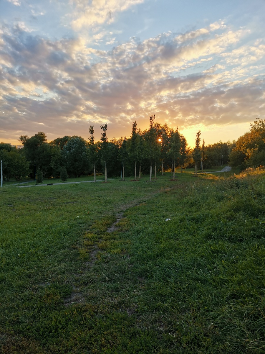 20 августа 2020