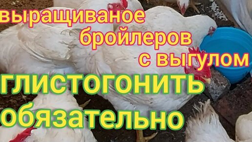 Разновидности паразитов