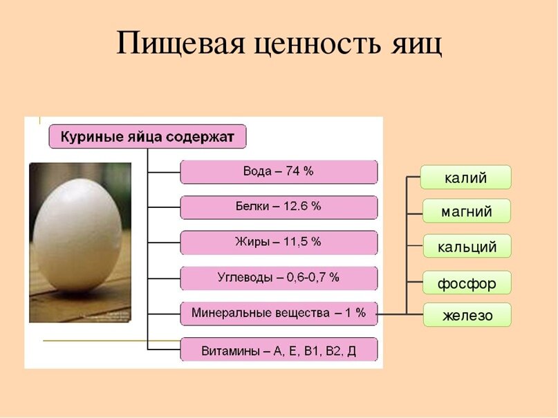 Рецепт Щи суточные. Калорийность, химический состав и пищевая ценность.