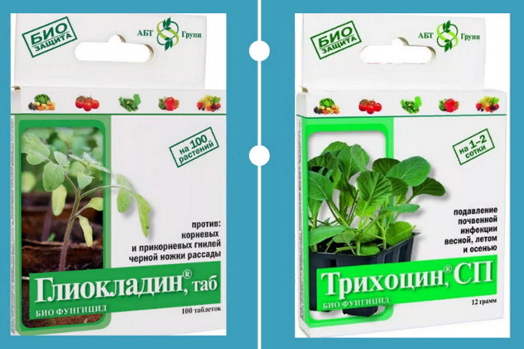 первоисточник https://clck.ru/i3MCd