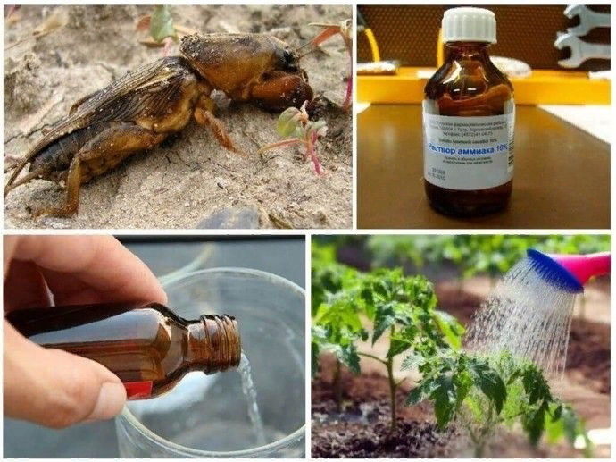 первоисточник https://clck.ru/iCgFz