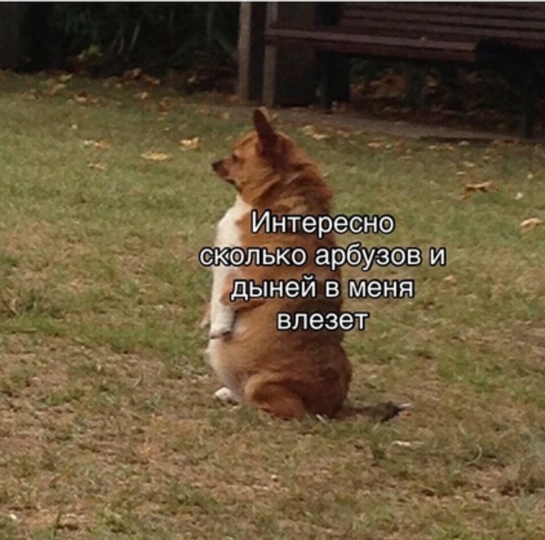 И черешни... 