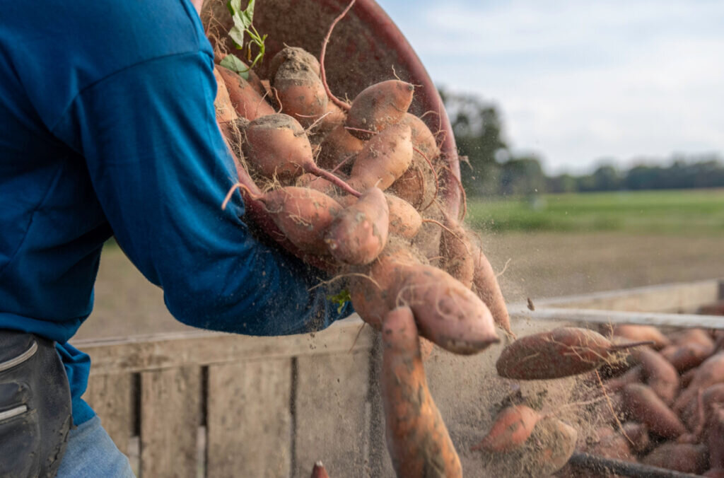 Photo: Mark Stebnicki / Pexels