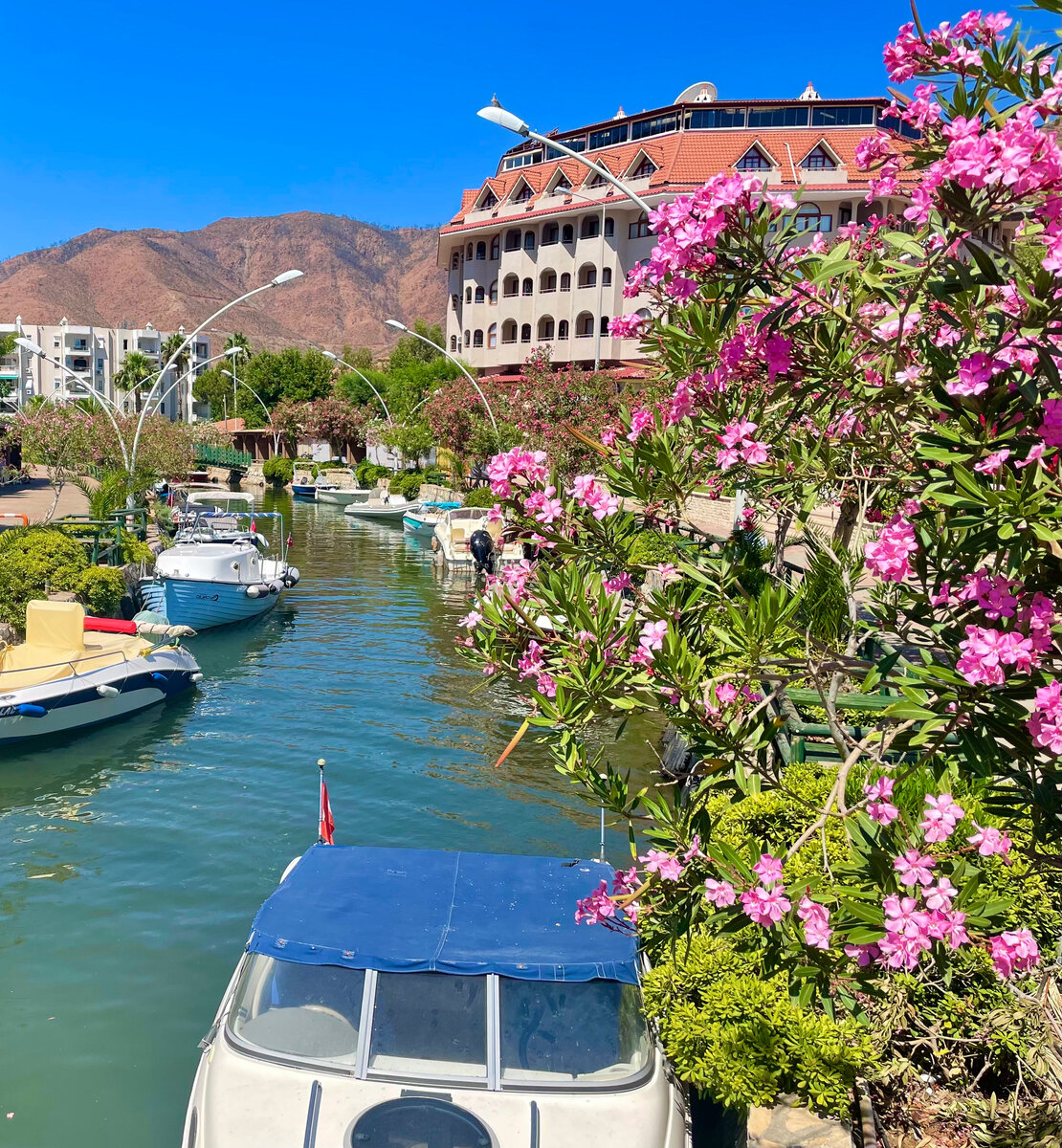 В этом канале видели мурену