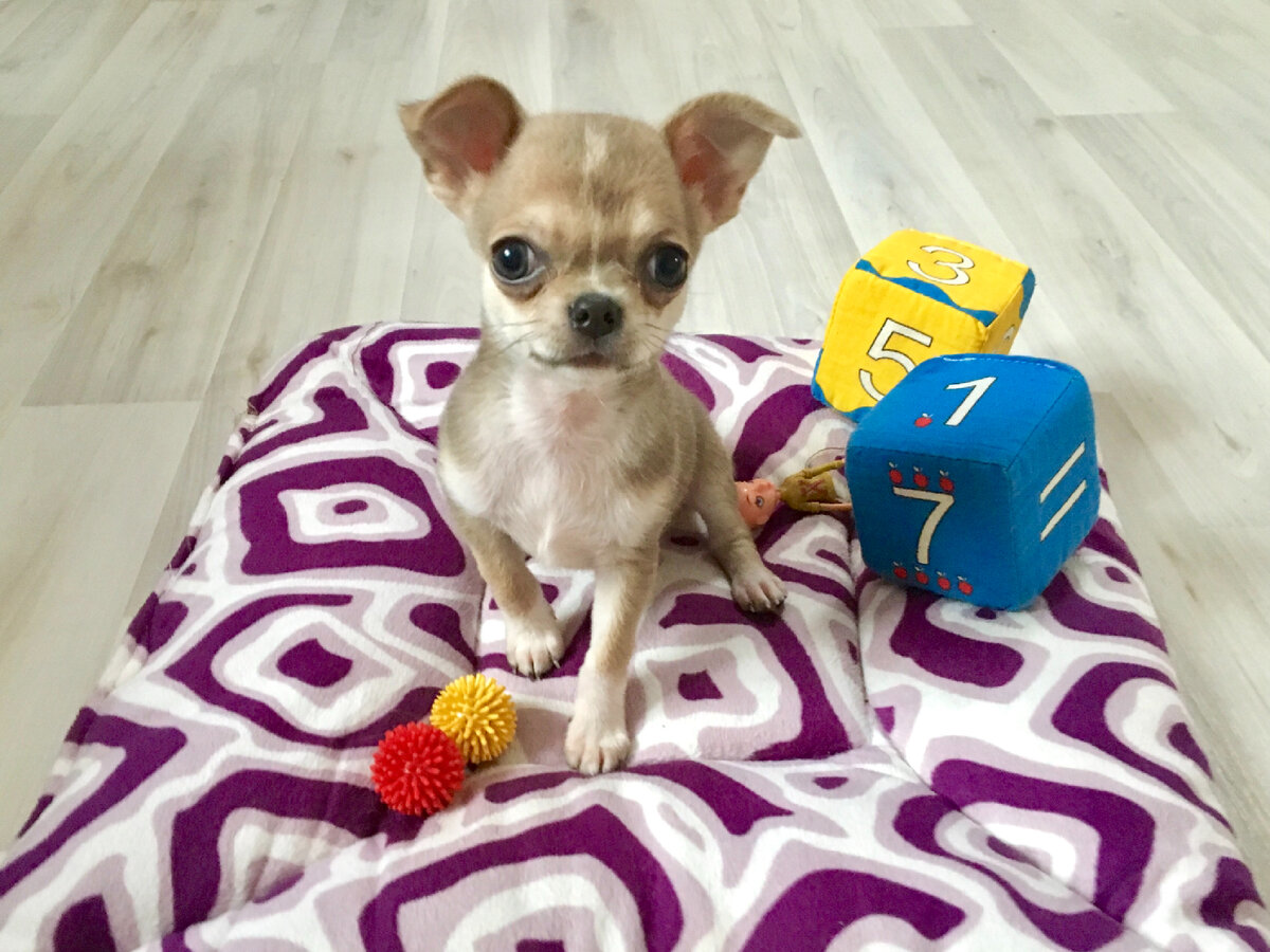 Малышка Люсия