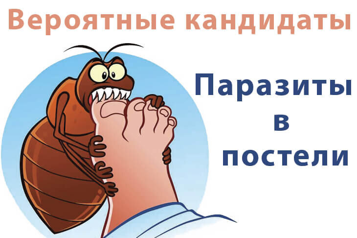 Паразиты в постели, вероятные кандидаты!