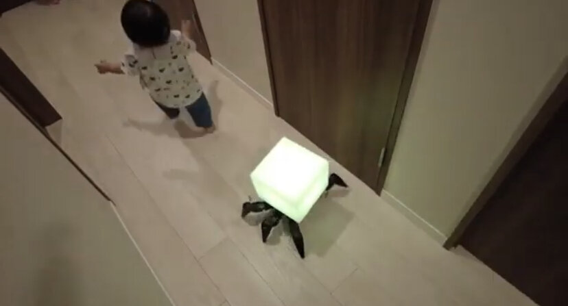 Робот-ночник в Японии 