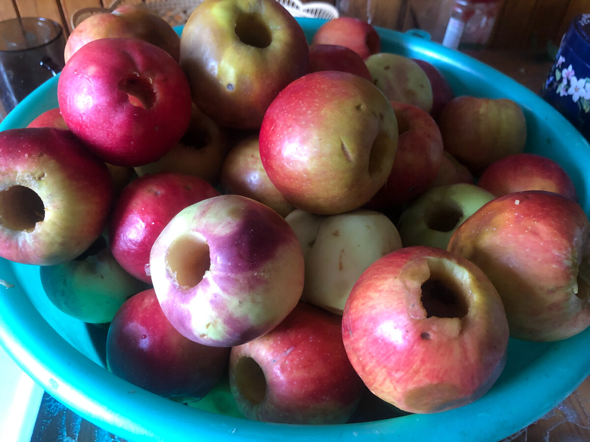 удалила семенные камеры