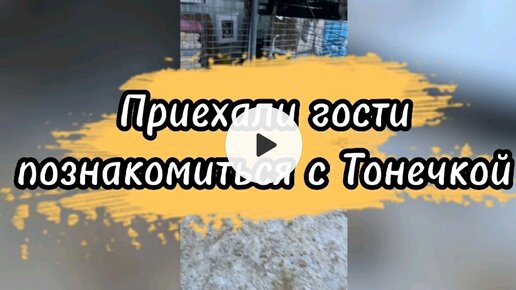 Приехали гости познакомиться с Тонечкой