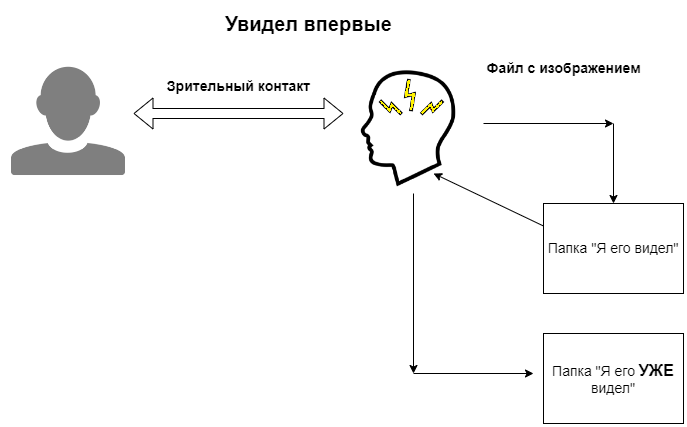 Работа мозга товарища