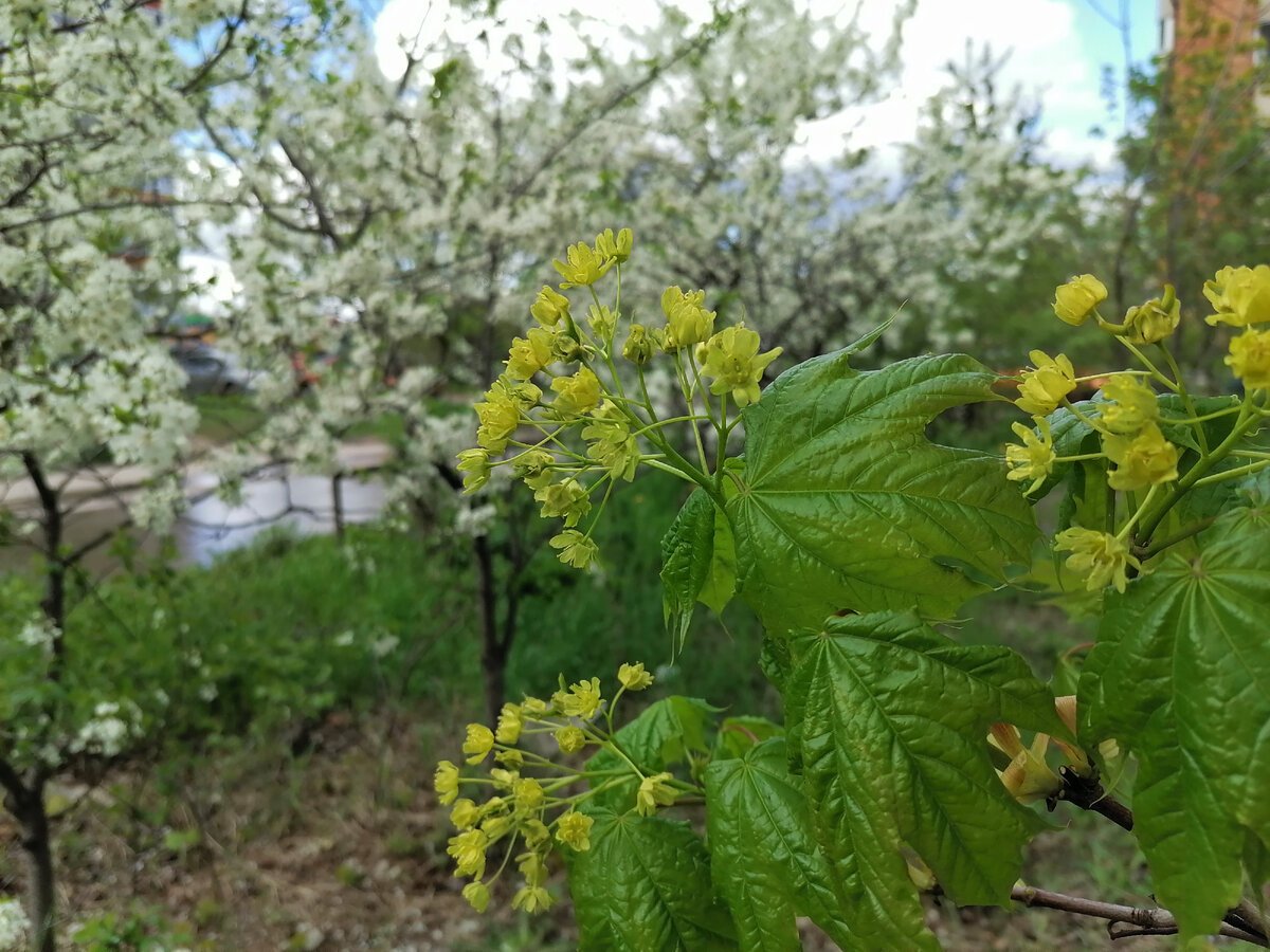 Из личного архива 