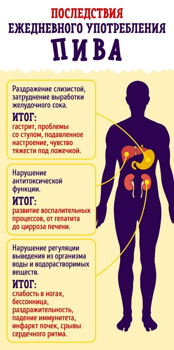 Пиво можно пить мужчинам каждый день или нет - ответ врача | Новости РБК Украина