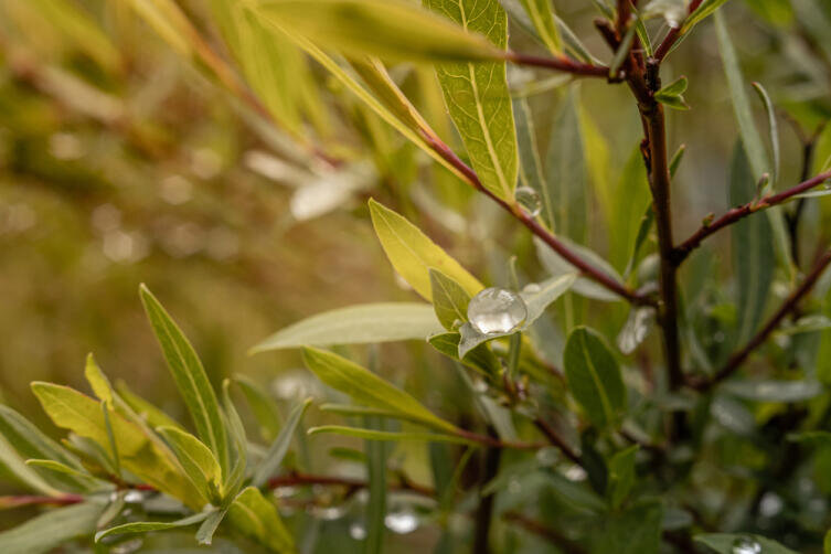    Фото: Depositphotos