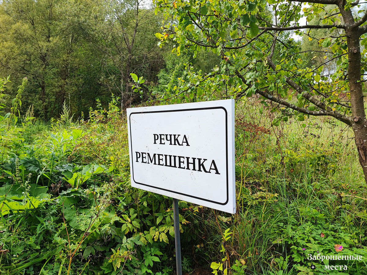 Речка Ремешенка. Фото автора. 2023г