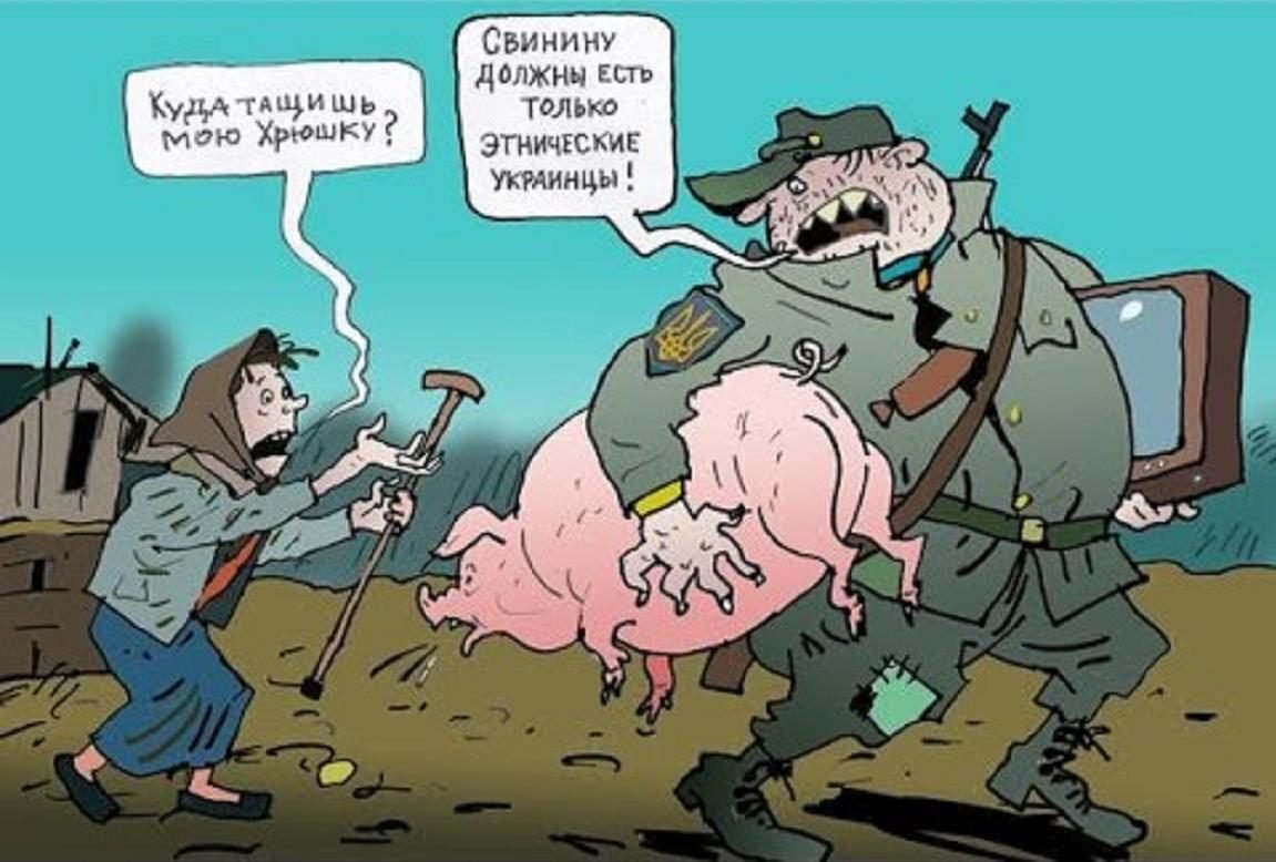 Фото из открытых источников