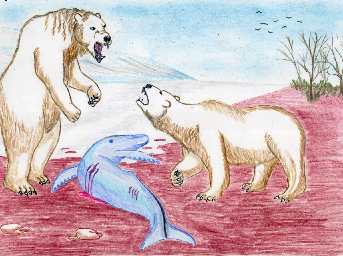 Ursus maritimus tyrannus