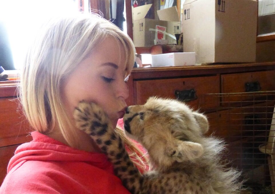 Даже большие и сердитые, они все равно котята