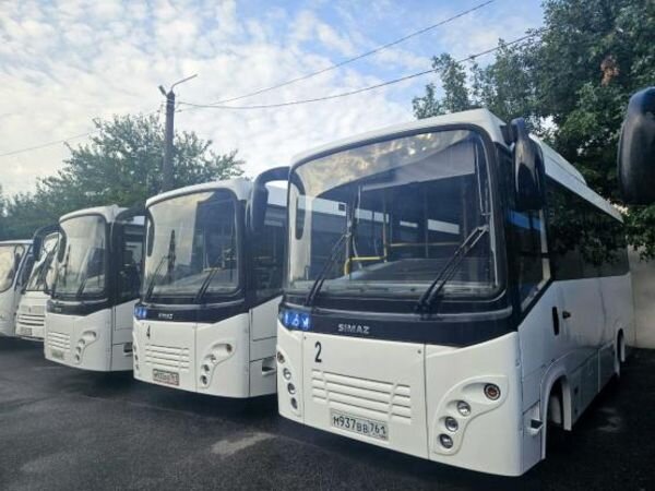 Источник фото: Андрей Фатеев/tm.com