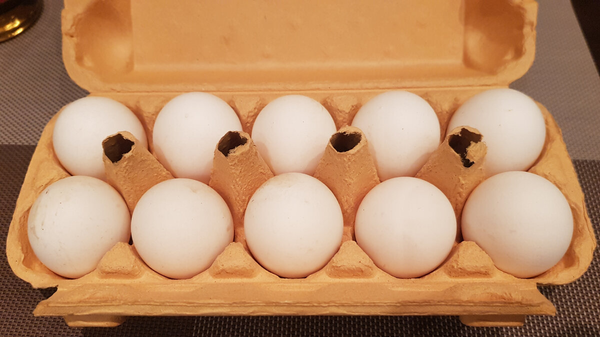 Яйцо СИНЯВИНСКОЕ к завтраку столовое С1, 10 шт.