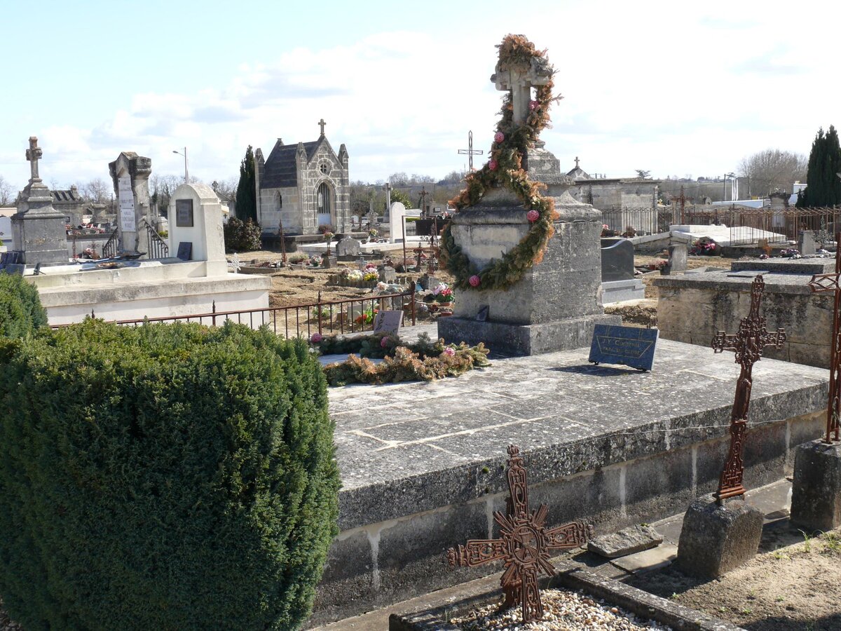 Источник Яндекс фото.