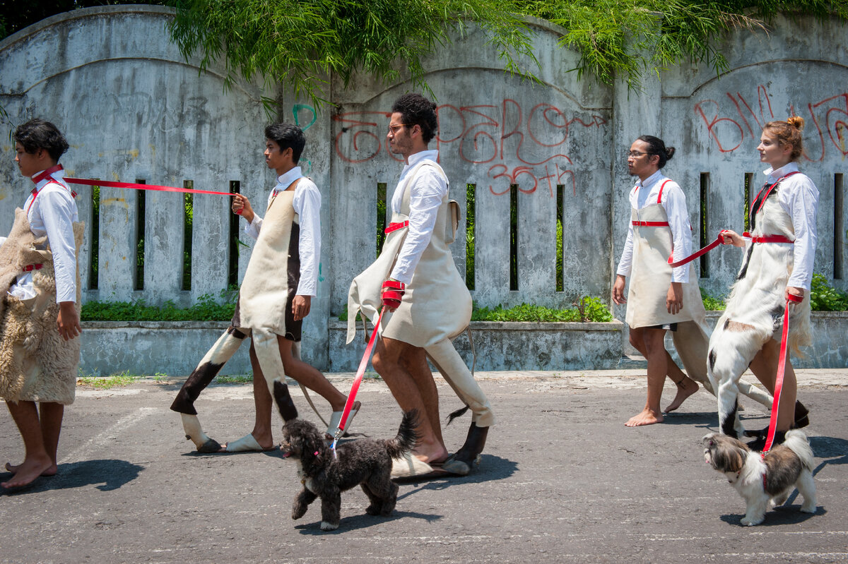 Мелла Ярсма. Выгул. 2015–2016 гг.  12 костюмов из телячьих, овечьих и козлиных шкур, копыта, двухканальное видео
Фото: Миэ Корноэдус
