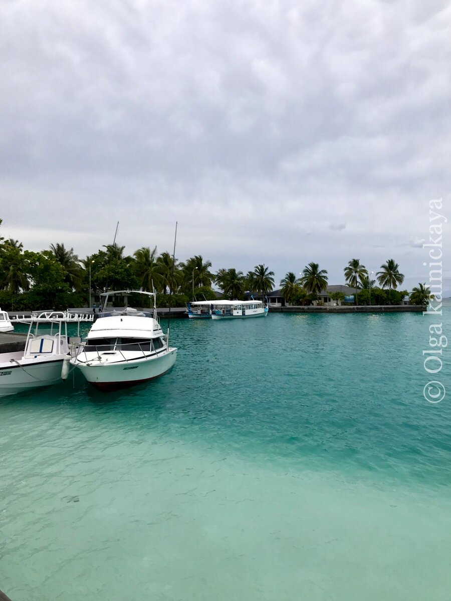 Только приплыли на наш остров Nalaguraidhoo , атолл Южный Ари 