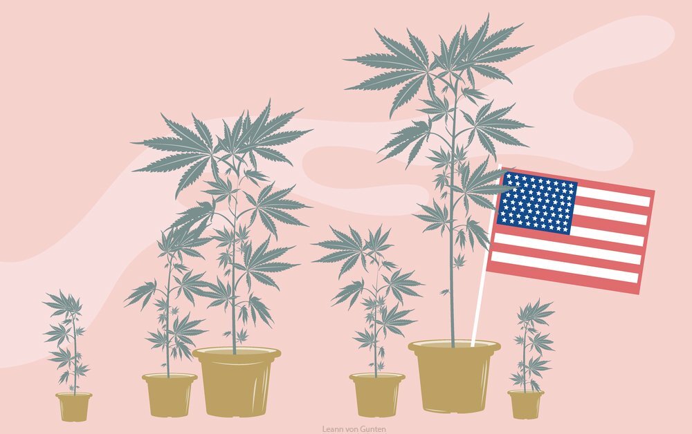 Вашингтон выращивал марихуану марихуана бонг