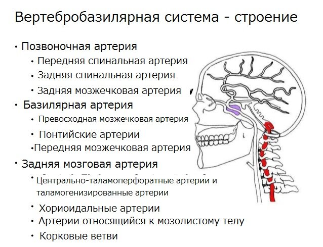 Общие сведения