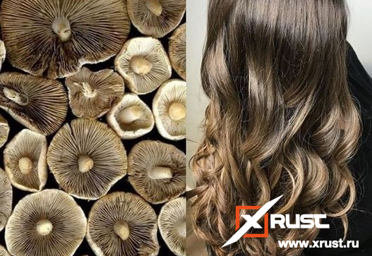 cool tone brown balayage dark brown to mushroom - Google Search Mushroom hair, W
