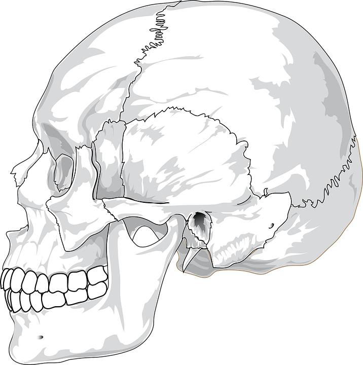 https://cdn.pixabay.com/photo/2012/04/12/23/56/skull-31060_960_720.png